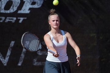 Bild 514 - Kaltenkirchen Cup